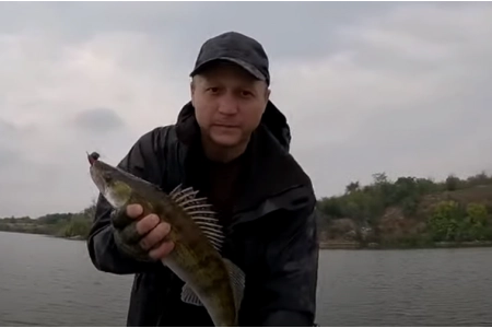 Хижак прокидається! Час запастися цими приманками і на риболовлю!